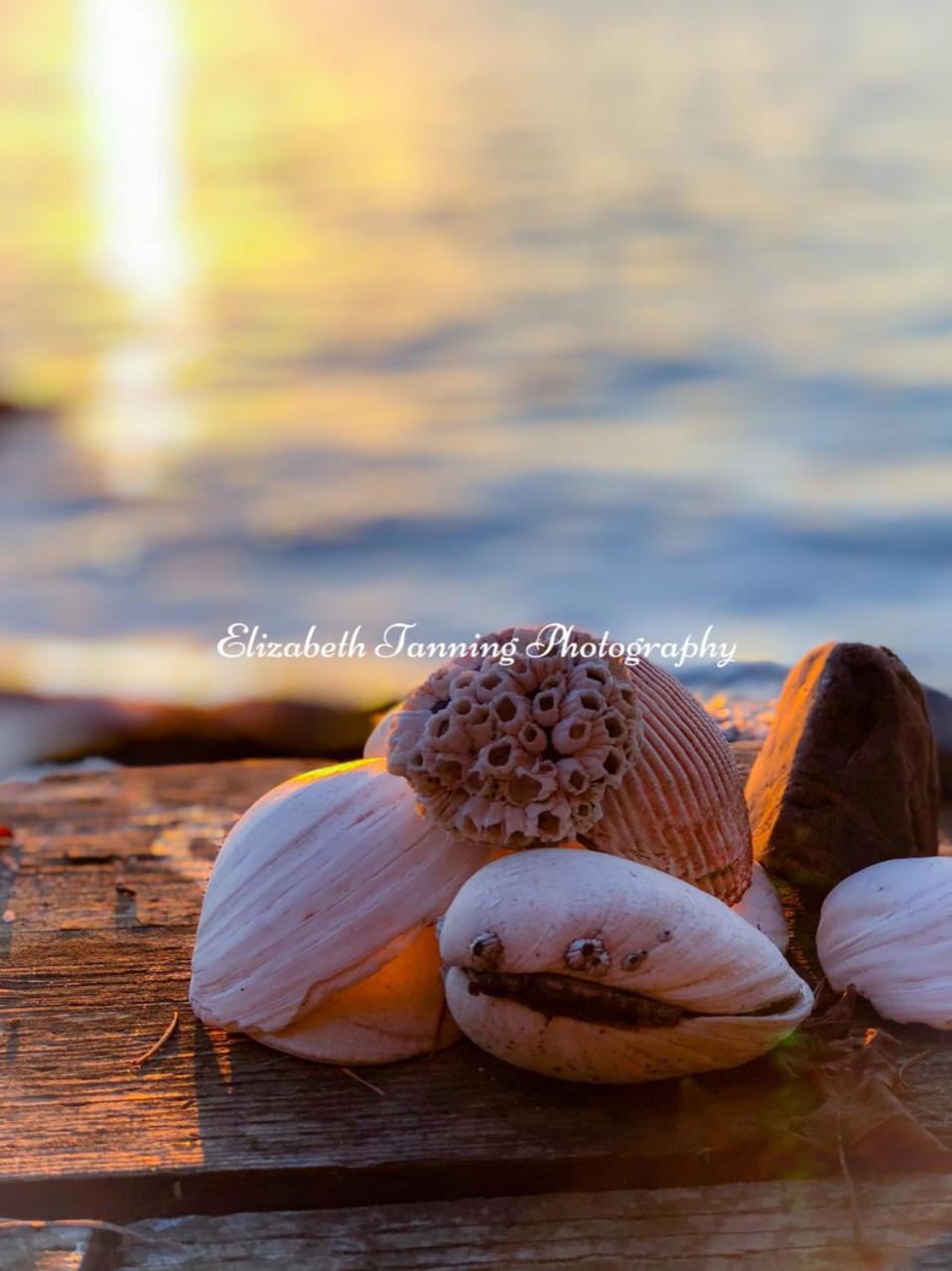 Sea Mist Waterfront B&B Camano 外观 照片